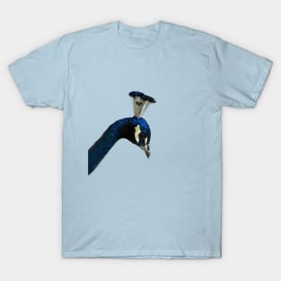 Peacock Bird Portrait Close-up 1 T-Shirt